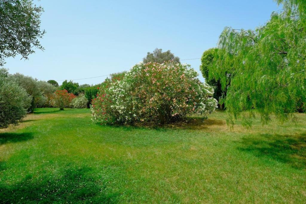 Corte Dei Mirti, Camere Signorili Iglesias Exteriér fotografie